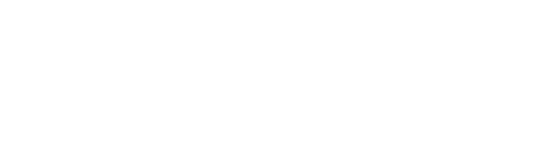 Well Link Life Insurance Company Limited