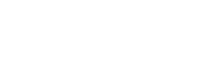 stock